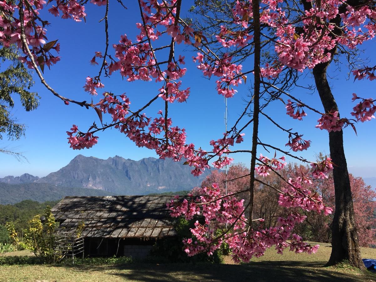 Chiang Dao Hostel Экстерьер фото