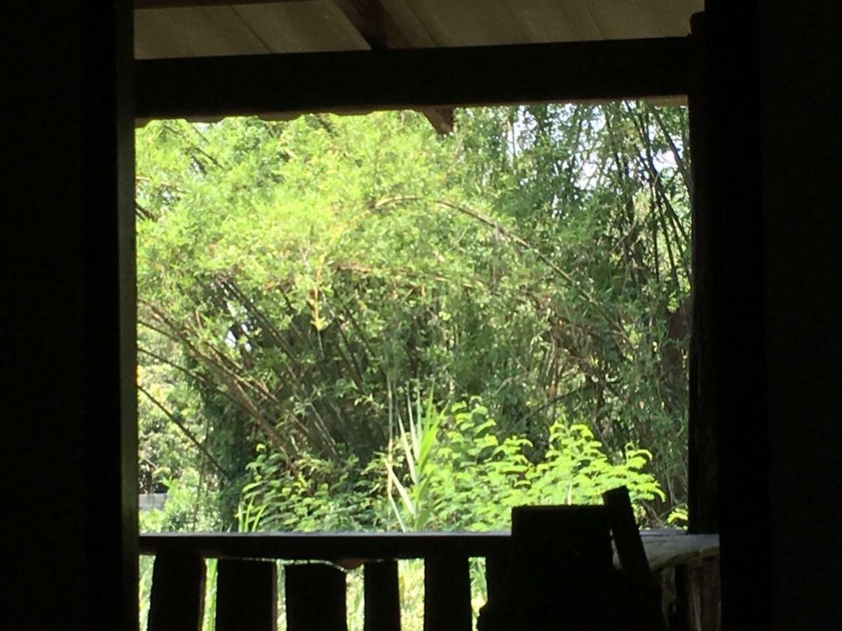 Chiang Dao Hostel Экстерьер фото